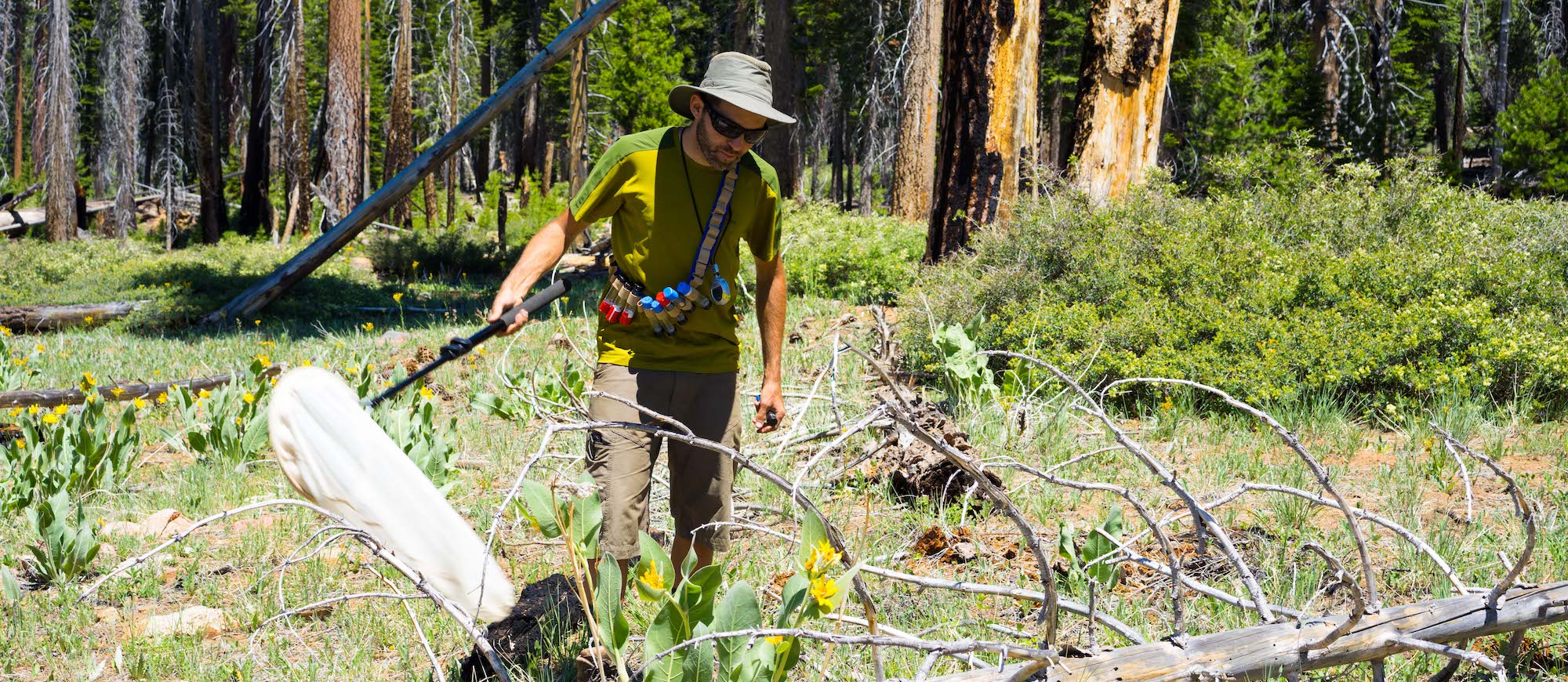 A man is standing outside in a field in the woods holding a large net.