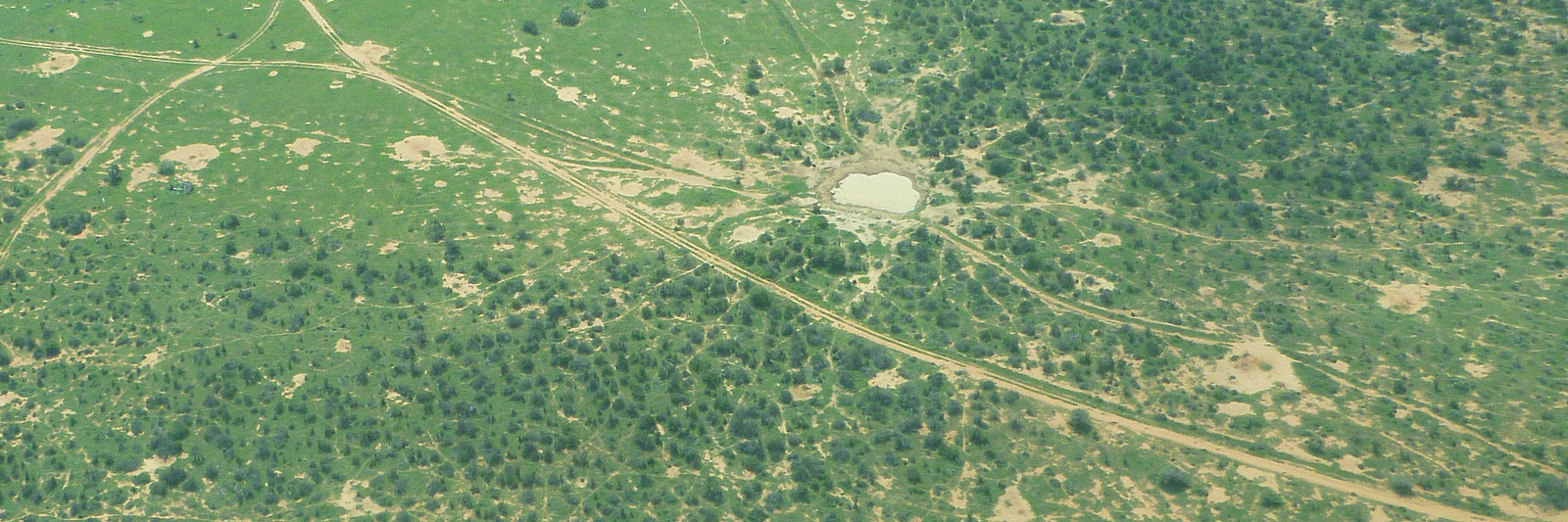 birds-eye view of a field