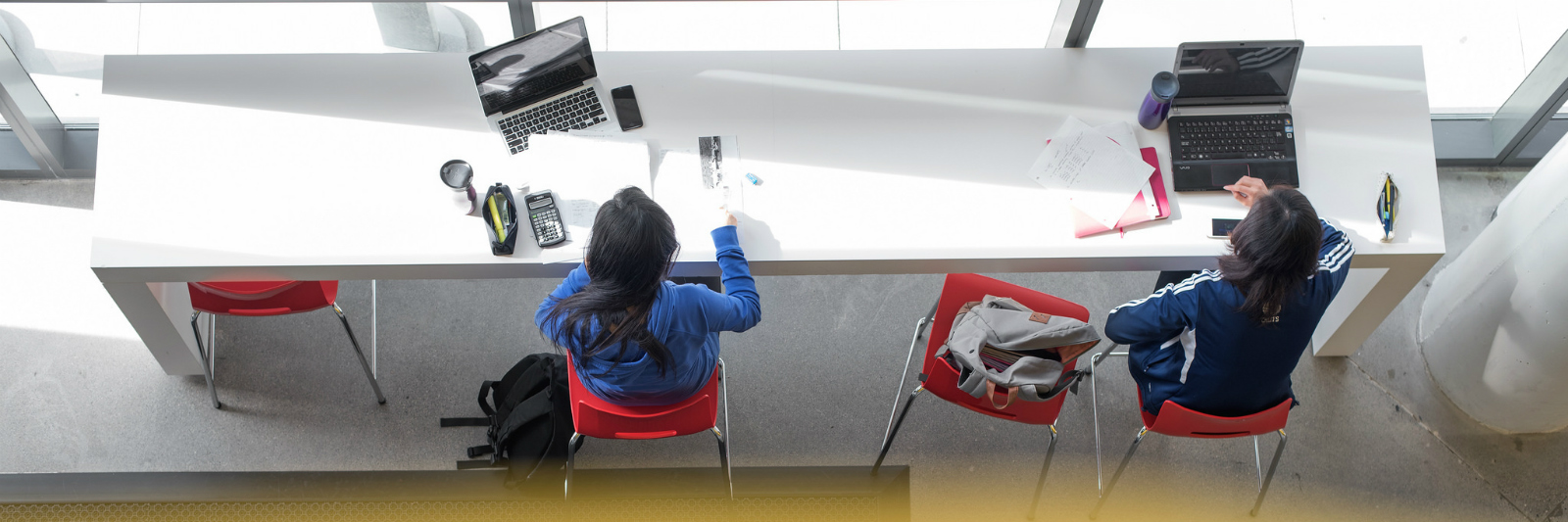 students studying at a long table