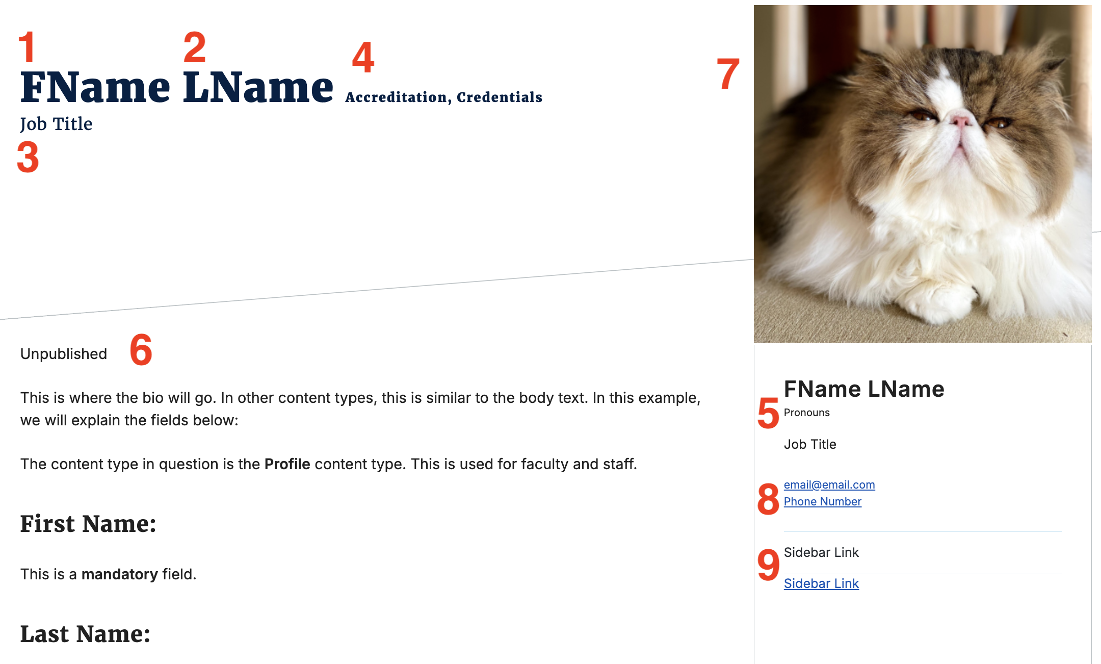screenshot of an example profile page