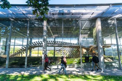 Exterior view of the Beaty Biodiversity Museum