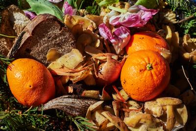 Organic food waste for recycling