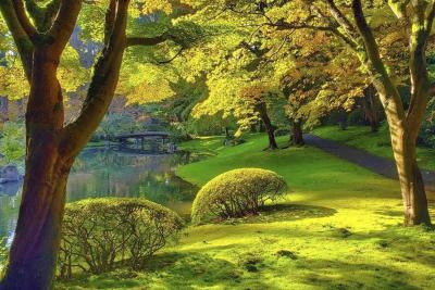 UBC's Nitobe Gardens