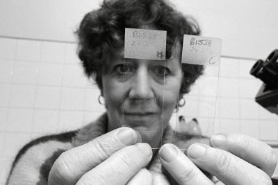 Dr. Julia Levy in her UBC labs in 1986. Kent Kallberg, and the University of British Columbia Archives.