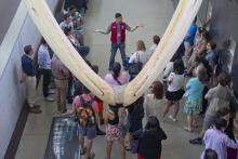 Crowds at the Beaty Biodiversity Museum