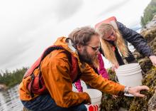 A man and woman outdoors examining vegetation