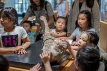 A group of children touching a fossil at museum.