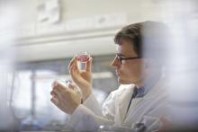 Mark MacLachlan looking inside of a petri dish in a lab, wearing a lab coat.