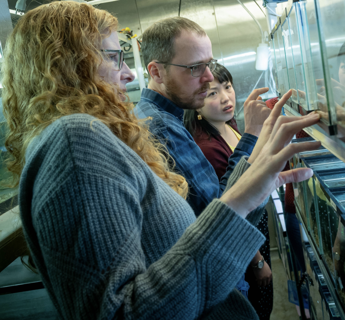 Judith Mank lab, UBC 2020. Photo: Paul Joseph.